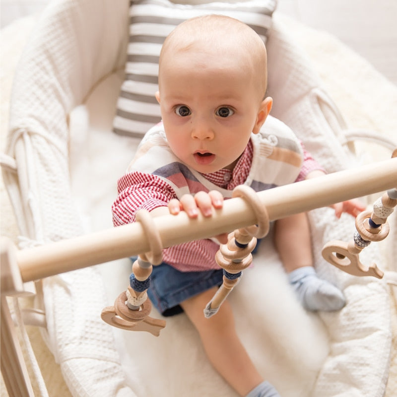 Play Gym Wooden Frame