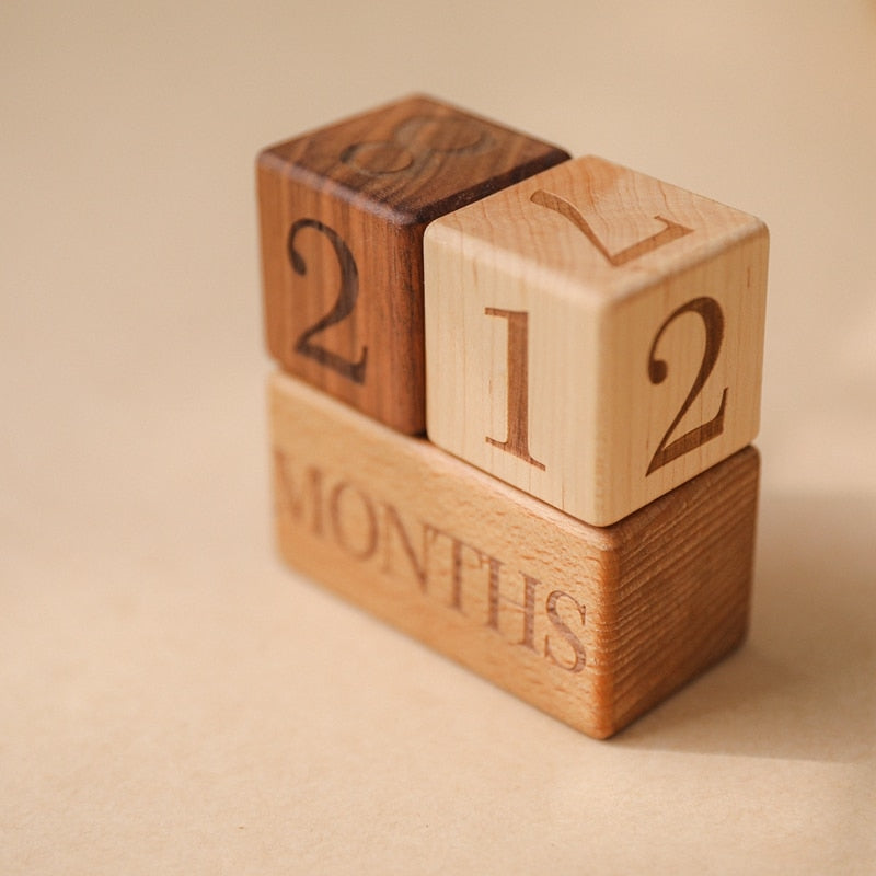 Small Milestone Block Set